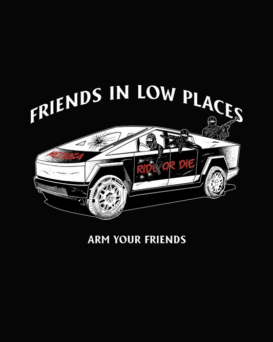 Enemies in High Places. Friends In Low Places.
